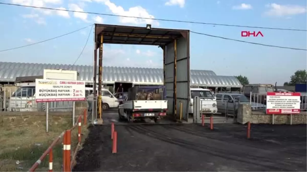 EDİRNE'DE KURBAN PAZARINDA YOĞUNLUK