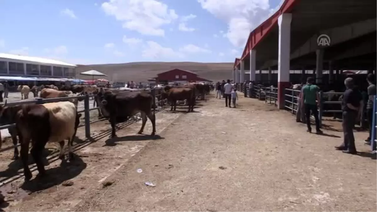 Kurban pazarlarında bayram öncesi yoğunluk
