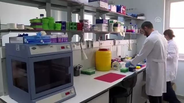 Türk bilim insanları 4 ölümcül virüs buldu Türk bilim insanları 4 ölümcül virüs buldu