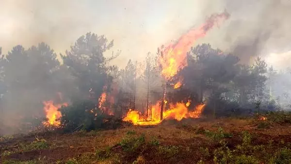 13 saat sonra kontrol altına alınan orman yangınında validen sabotaj açıklaması 13 saat sonra kontrol altına alınan orman yangınında validen sabotaj açıklaması