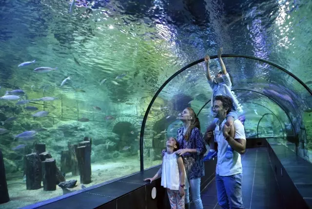 Bayramda İstanbul'da kalanlara, 5'i 1 yerde eğlence Bayramda İstanbul'da kalanlara, 5'i 1 yerde eğlence