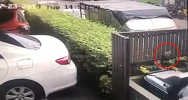 Cani anne! Yeni doğurduğu bebeğine deterjan içirip balkondan attı Cani anne! Yeni doğurduğu bebeğine deterjan içirip balkondan attı
