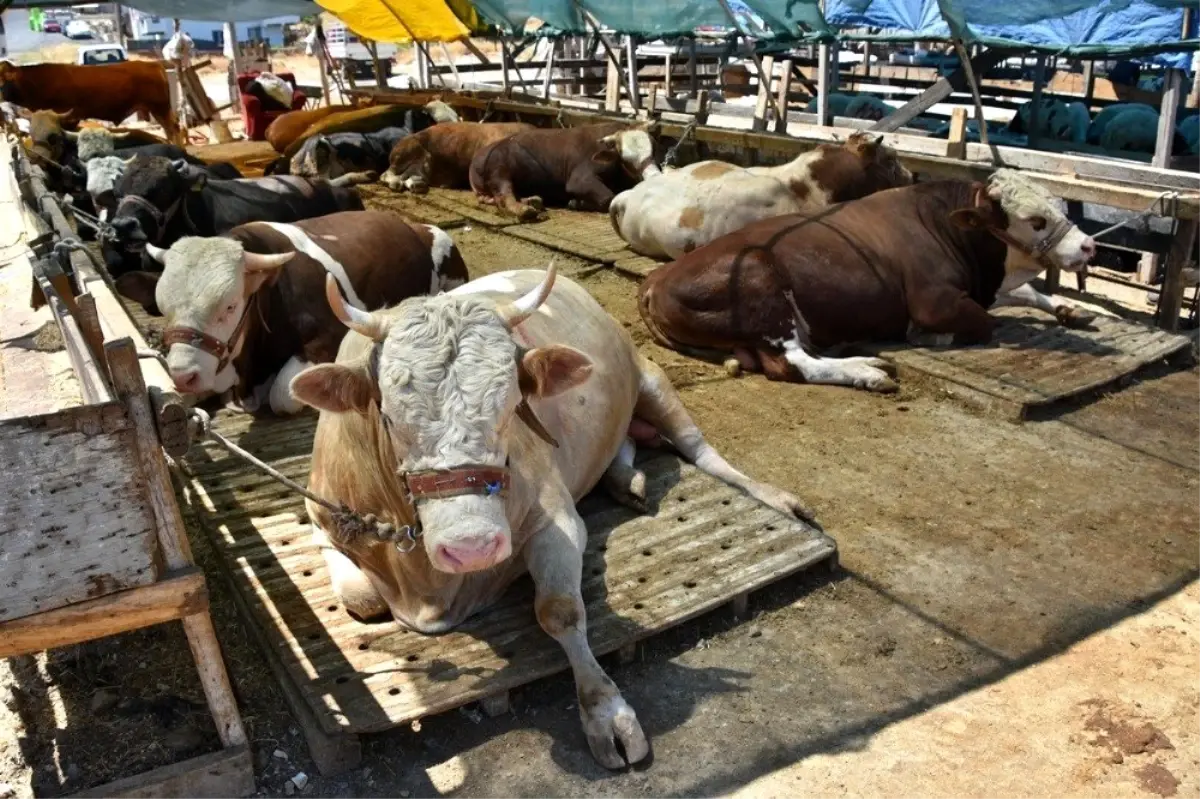 E-ticarette 'Bayram' bereketi