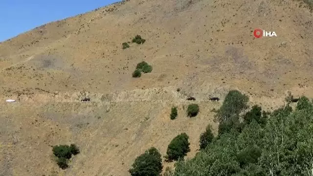 Vali Gündüzöz, makamını köylere taşıdı Vali Gündüzöz, makamını köylere taşıdı