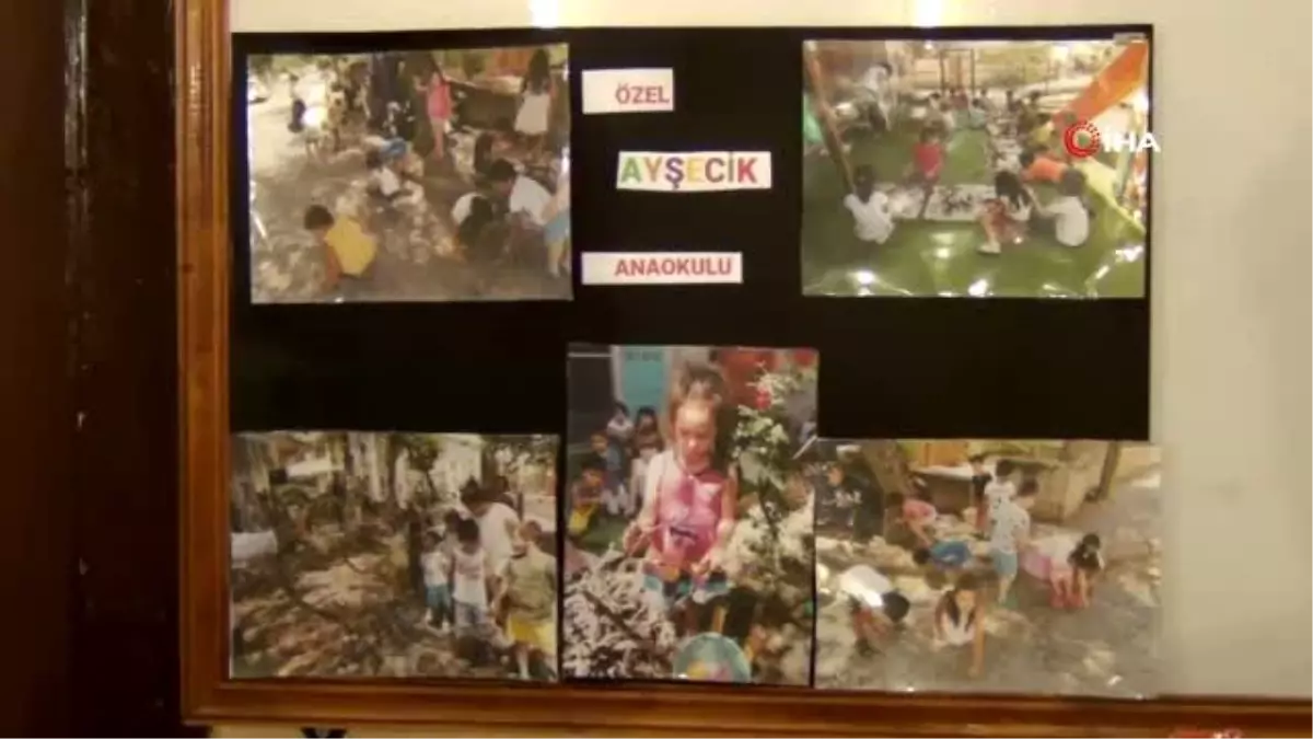 Kurumuş ağaç köklerini fidana dönüştürüyorlar