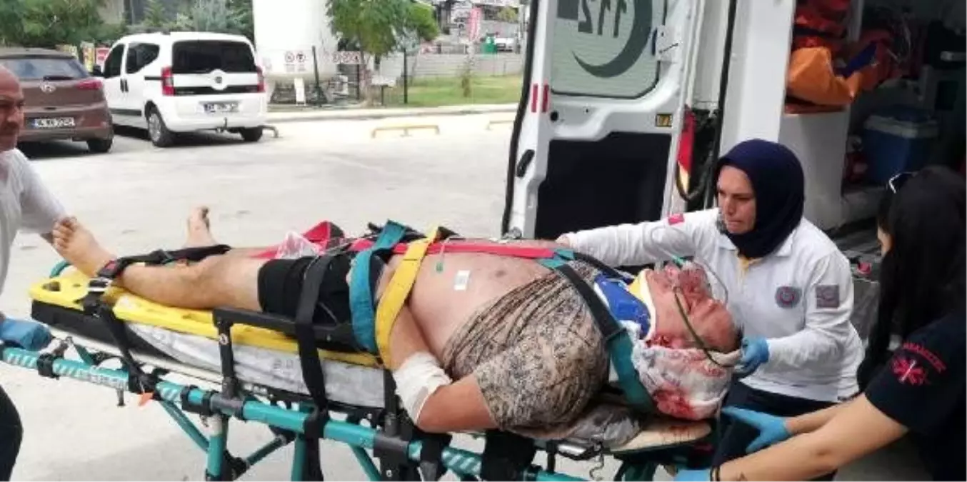 Safari cipi devrildi: 1 ölü, 10 yaralı (2)