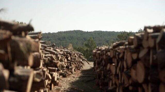 Tepkilere rağmen devam eden Kaz Dağları projesi hakkında her şey