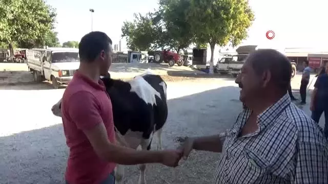 Tire Kurban Bayramı'na hazır Tire Kurban Bayramı'na hazır