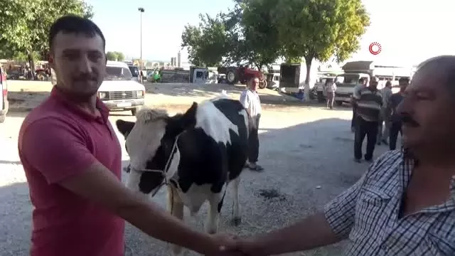 Tire Kurban Bayramı'na hazır Tire Kurban Bayramı'na hazır