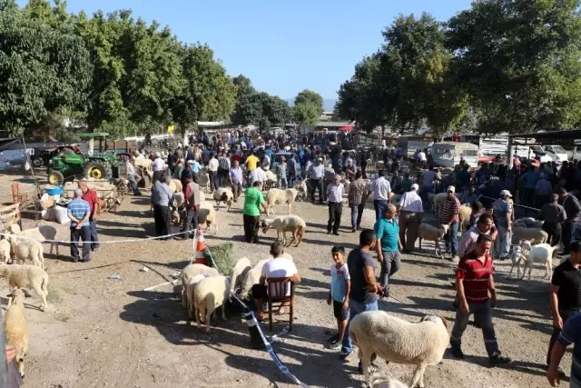 Tire Kurban Bayramı'na hazır Tire Kurban Bayramı'na hazır