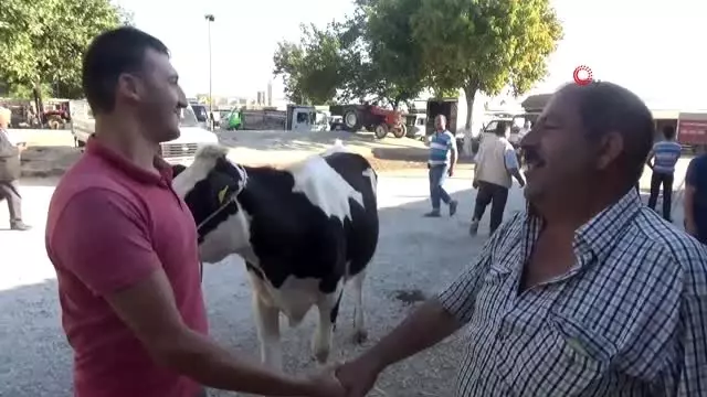 Tire Kurban Bayramı'na hazır Tire Kurban Bayramı'na hazır