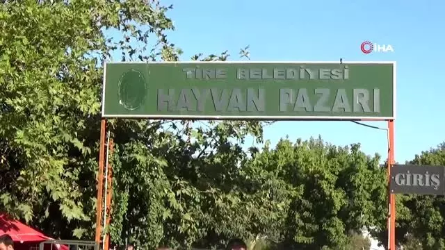 Tire Kurban Bayramı'na hazır Tire Kurban Bayramı'na hazır