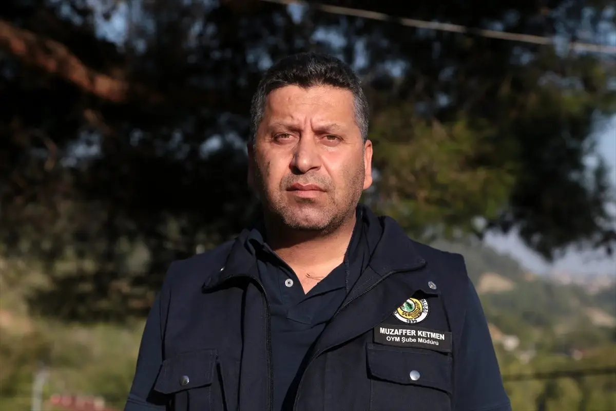 Yıldırım orman yangınına yol açtı