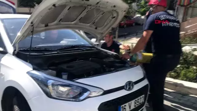 Araç motoruna sıkışan yavru kedi kurtarıldı
