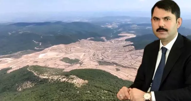 Bakan Kurum: Kaz Dağları'nda 13 bin ağaç kesildi Bakan Kurum: Kaz Dağları'nda 13 bin ağaç kesildi
