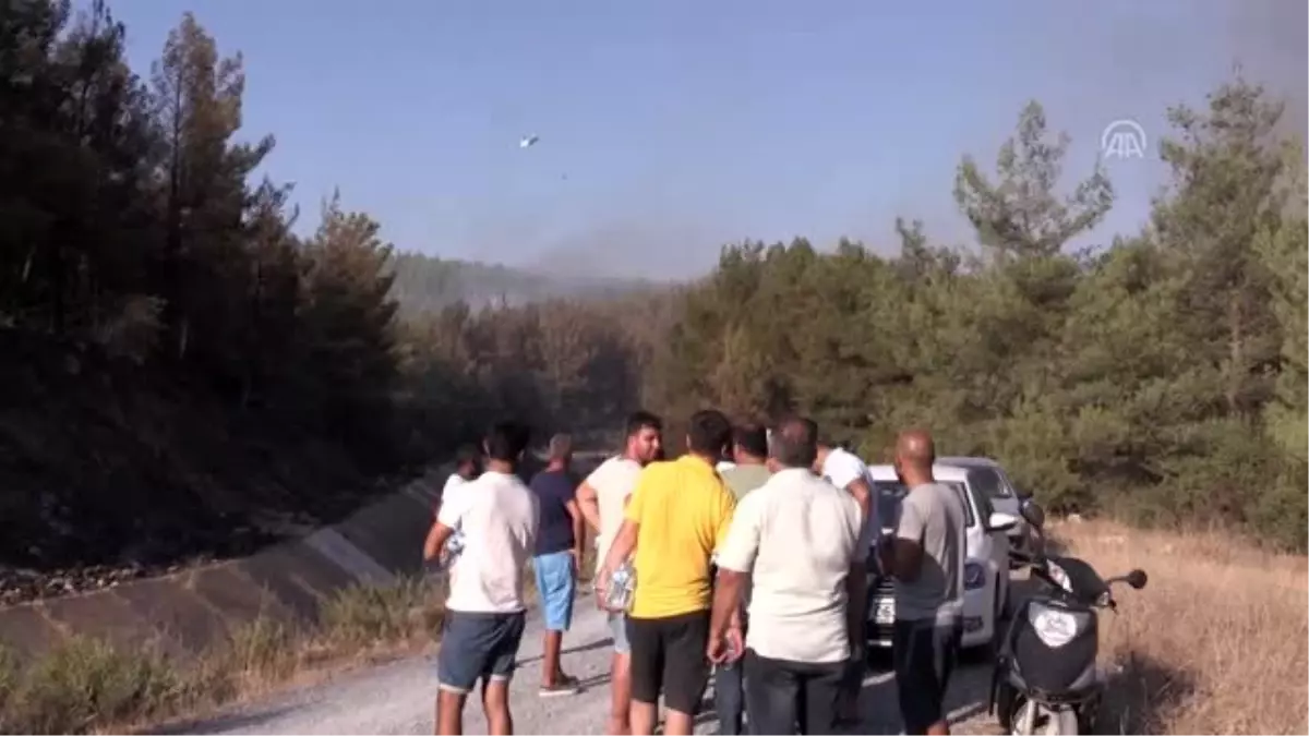 Bodrum'daki orman yangını kısmen kontrol altına alındı
