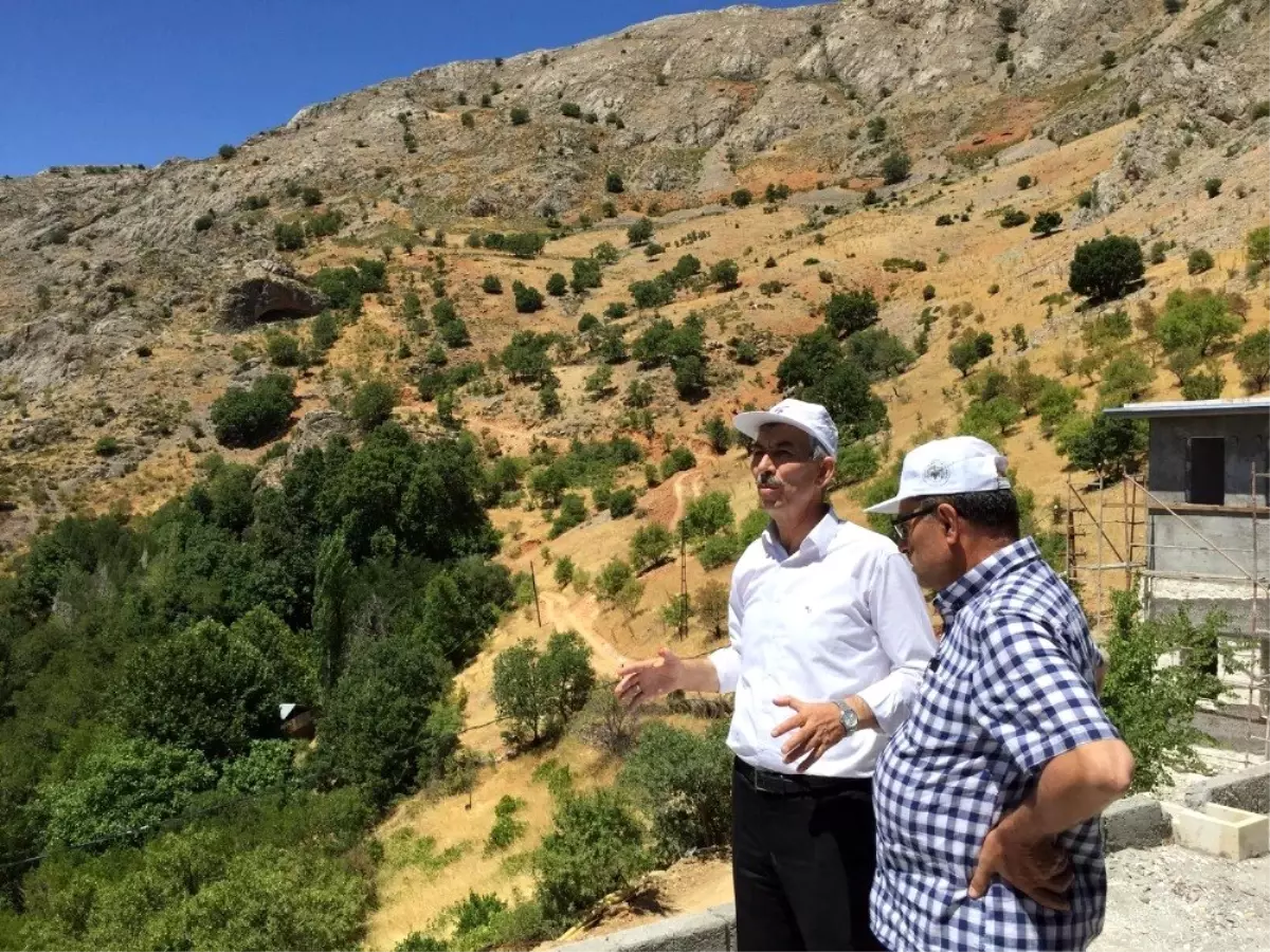 DAP Başkanından Arapgir'de inceleme