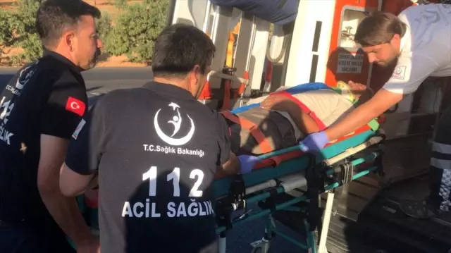 Gaziantep'te trafik kazası: 3 ölü, 12 yaralı Gaziantep'te trafik kazası: 3 ölü, 12 yaralı
