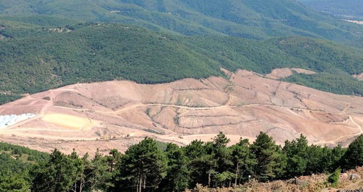 Kaz Dağları Türkiye'yi ayağa kaldırdı! Dünya da benzer örneklere sessiz kalmadı