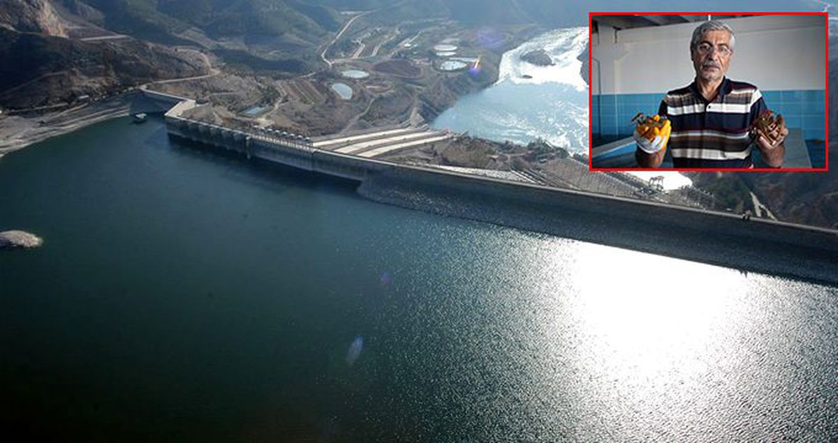 Keban Baraj Gölü'nde yakalanan kerevitler, işlendikten sonra dünya pazarına kilosu 16,5 eurodan satılacak
