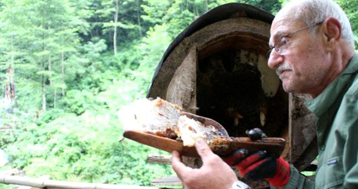 Kilosu 600 lira! Kara kovan balı yok satıyor