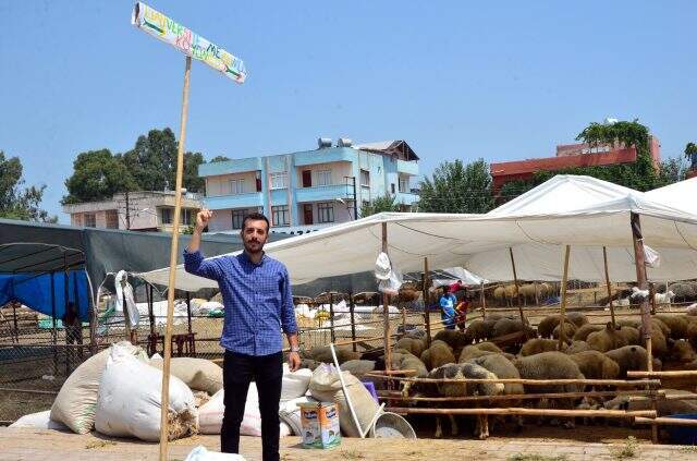 Kurbanlık çadırına asılan 'Üniversite mezunu koyuncu' yazısı, satışları artırdı