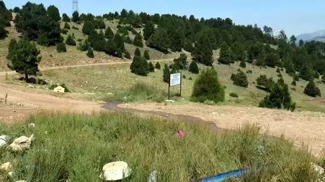 Nesli tehlike altındaki Tavas Kurbağası için koruma projesi Nesli tehlike altındaki Tavas Kurbağası için koruma projesi