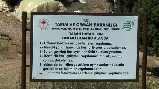 Nesli tehlike altındaki Tavas Kurbağası için koruma projesi Nesli tehlike altındaki Tavas Kurbağası için koruma projesi