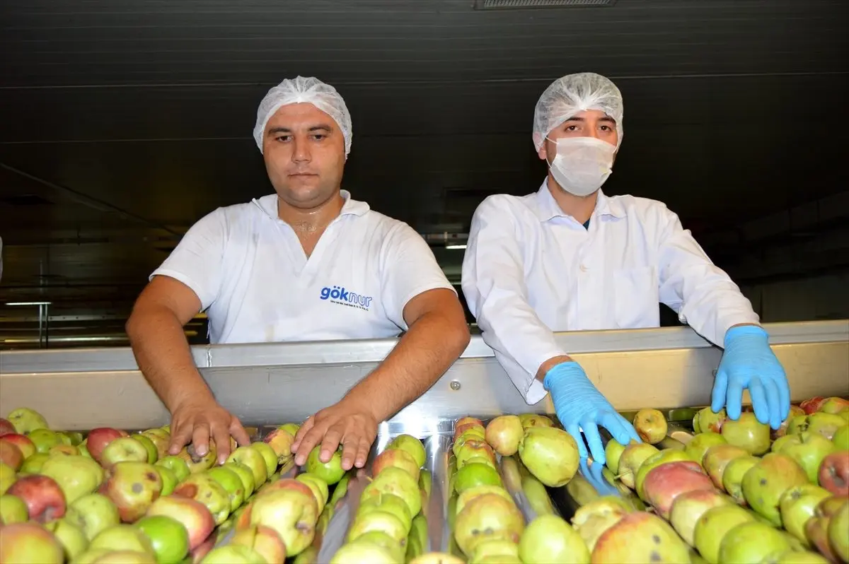 Afyonkarahisar'da üretilen meyve konsantreleri ABD sofralarında