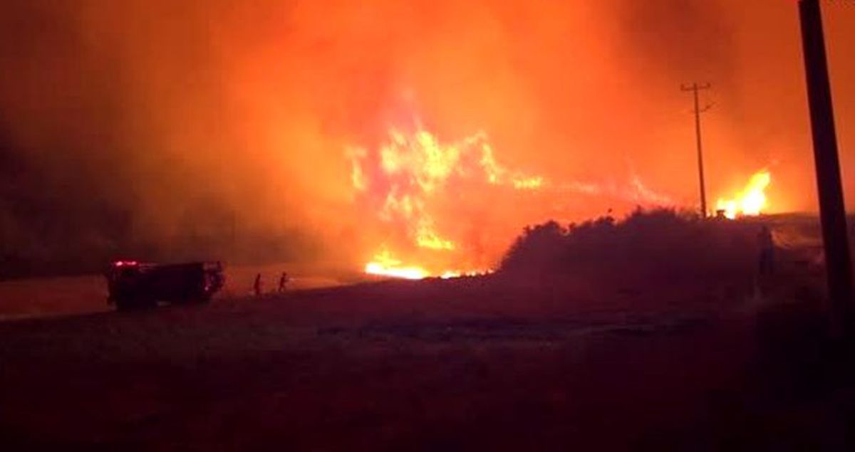Antalya'da çıkan yangın 7 saat sonra söndürüldü