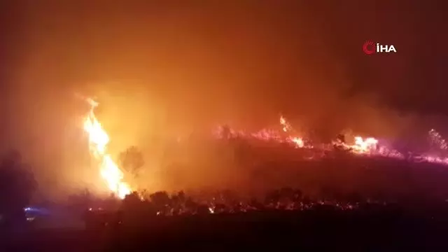 Antalya'da orman yangını