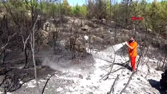 ANTALYA Serik'te orman yangını - Haberler
