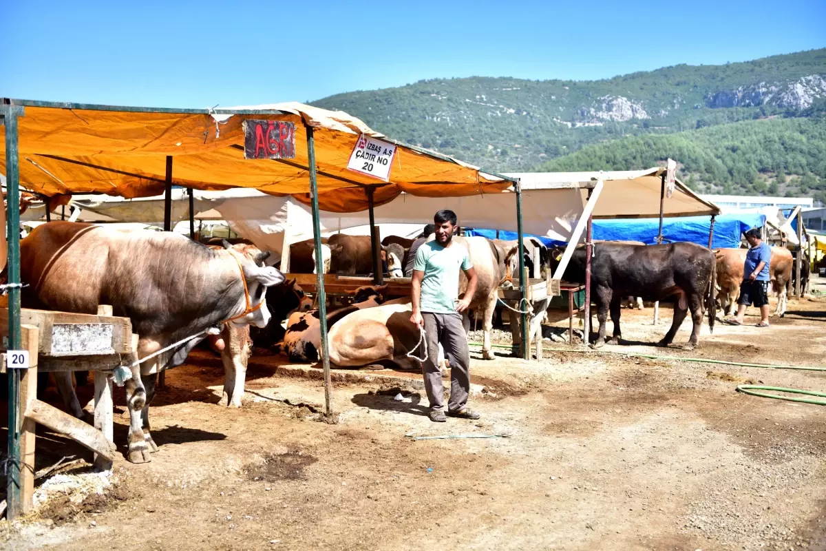 Bornova'da Bayram önlemleri tamam