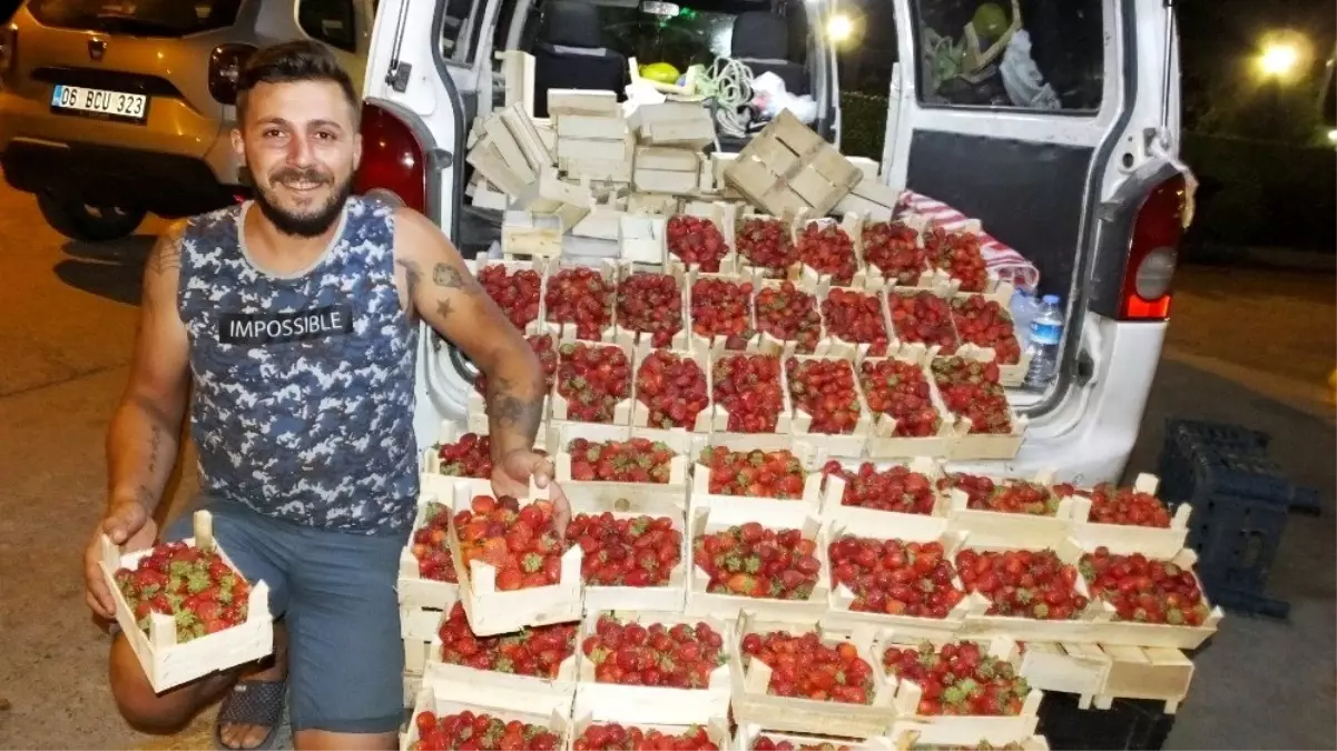 Burhaniye'de Yazlıkçılar Kazdağı çileğini sevdi