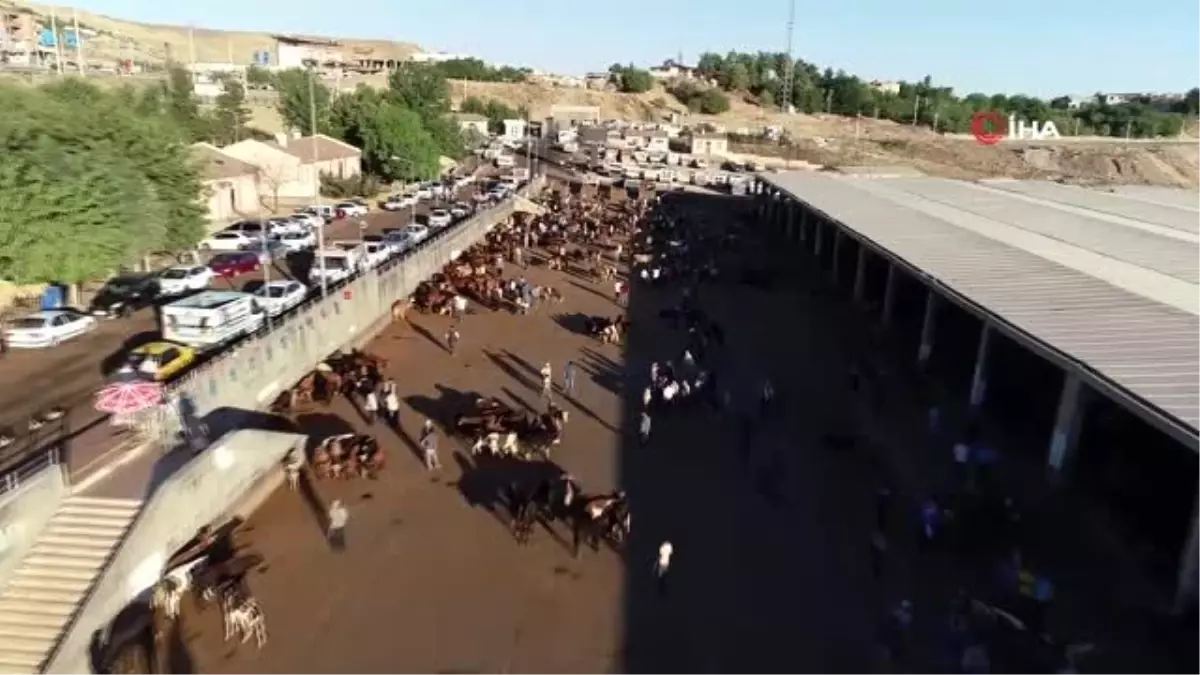 Diyarbakır'da kurbanlık hareketliliği başladı...Kurban pazarı havadan görüntülendi