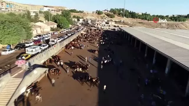 Diyarbakir Da Kurbanlik Hareketliligi Basladi Kurban Pazari Havadan Goruntulendi Diyarbakir