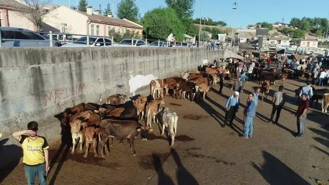 Diyarbakır'da kurbanlık hareketliliği başladı