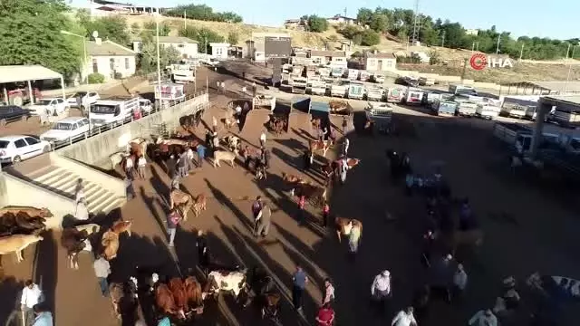 Diyarbakır'da kurbanlık hareketliliği başladı...Kurban pazarı havadan görüntülendi