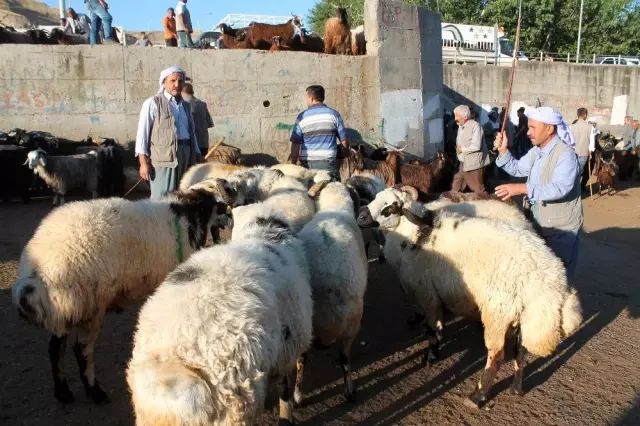 Diyarbakır'da kurbanlık hareketliliği başladı