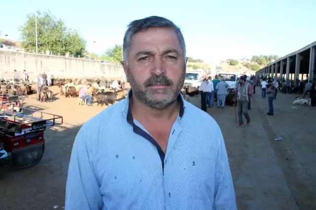 Diyarbakır'da kurbanlık hareketliliği başladı