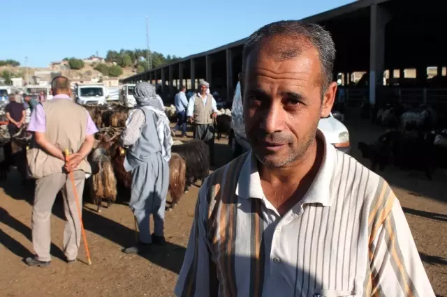 Diyarbakır'da kurbanlık hareketliliği başladı