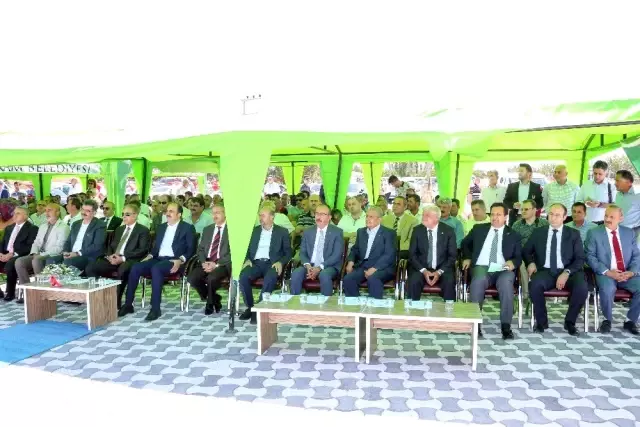 Konya'nın ilk 'Fide Üretim Tesisi' Meram'da açıldı Konya'nın ilk 'Fide Üretim Tesisi' Meram'da açıldı