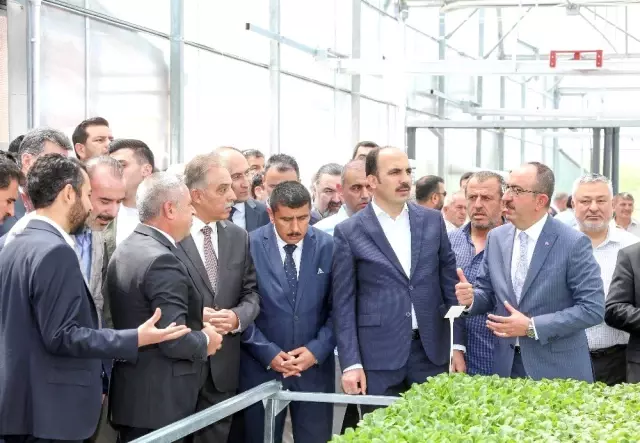 Konya'nın ilk 'Fide Üretim Tesisi' Meram'da açıldı Konya'nın ilk 'Fide Üretim Tesisi' Meram'da açıldı