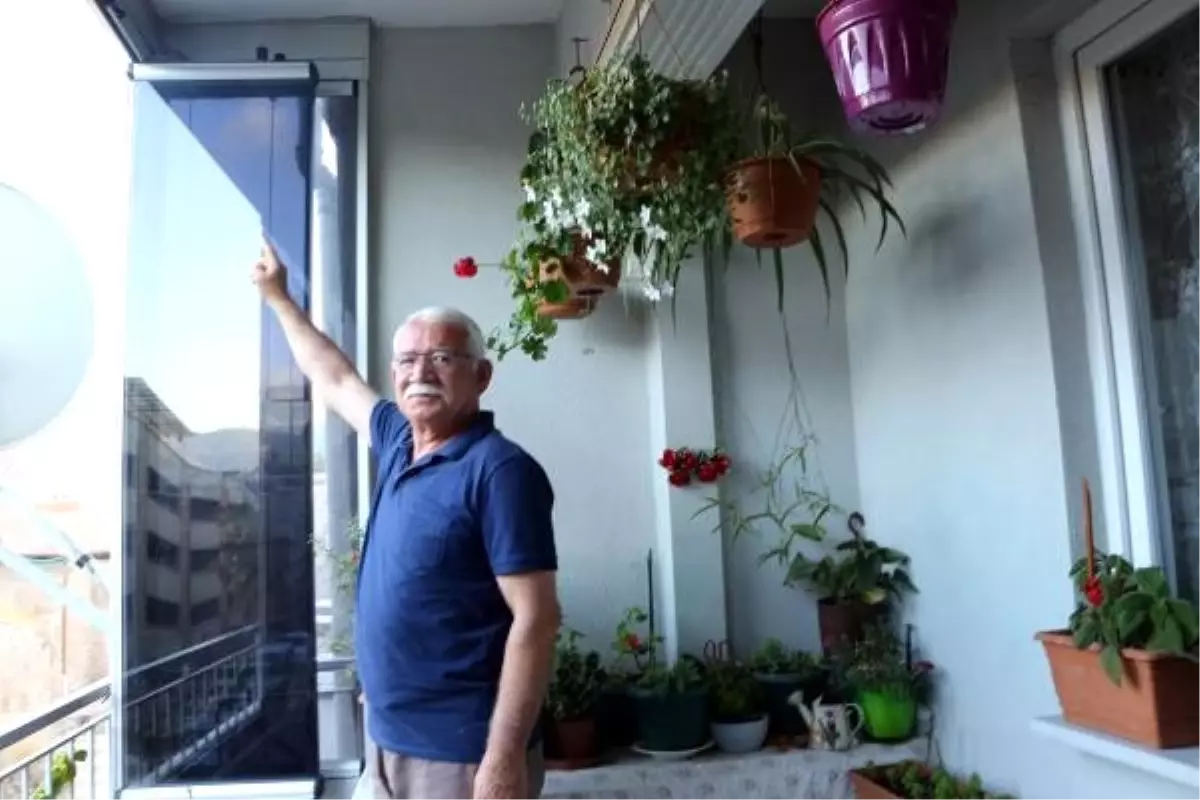 Kumrular, 7 yıldır balkonuna yuva yapıyor