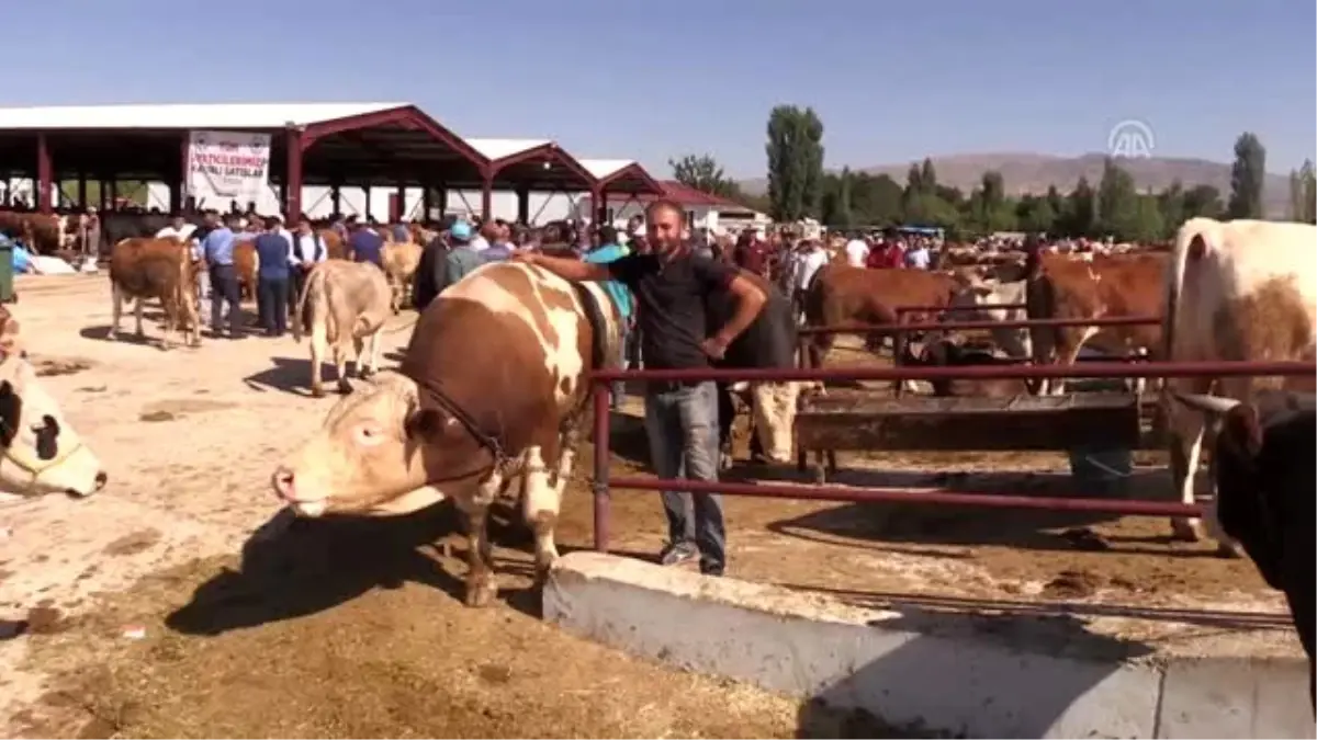 Kurban Bayramı'na doğru