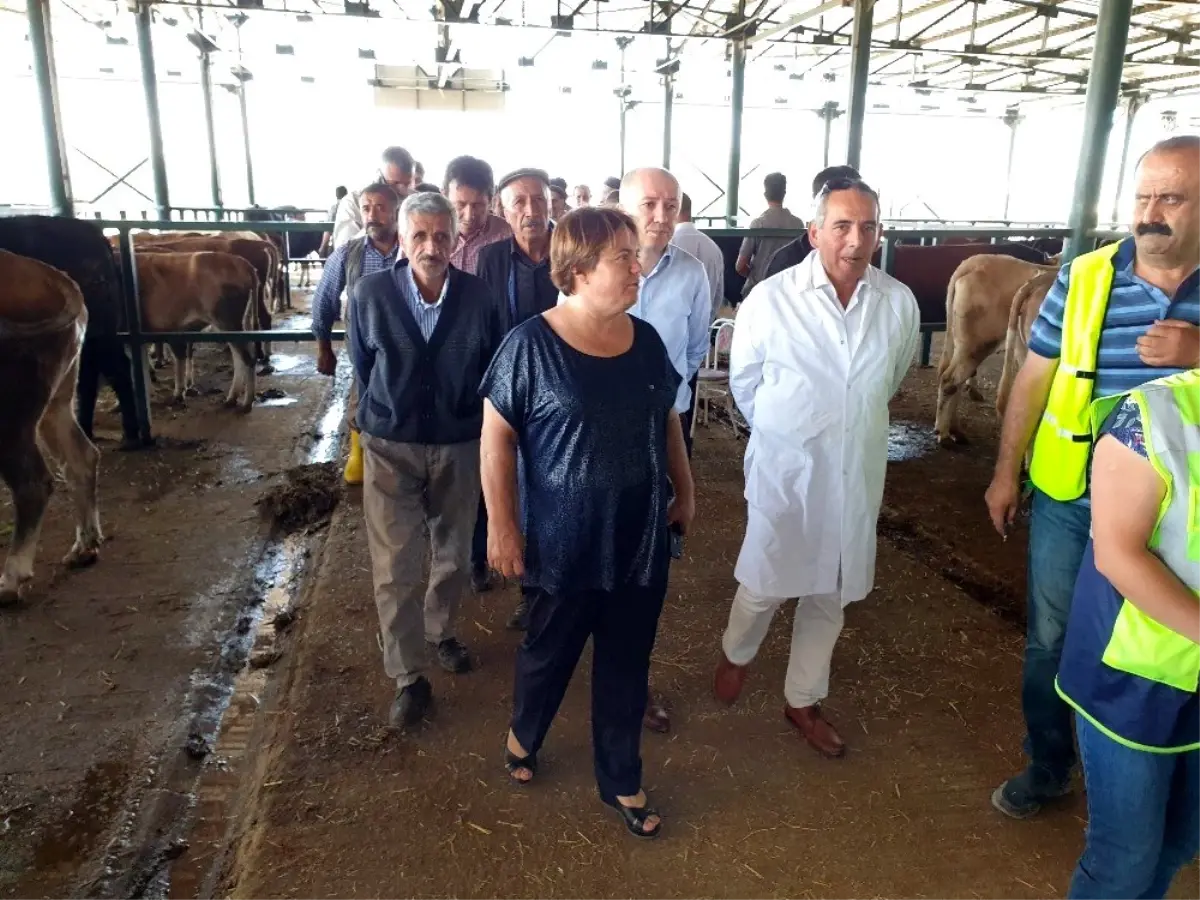 Kurbanlıklar hayvan pazarına kontrol edilerek alınıyor