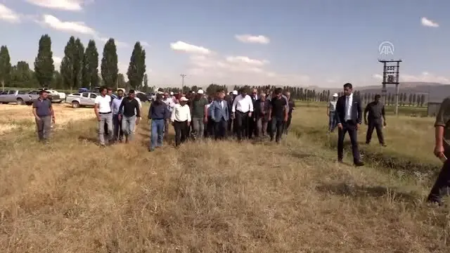 Vali Memiş biçerdöverle buğday hasadı yaptı Vali Memiş biçerdöverle buğday hasadı yaptı