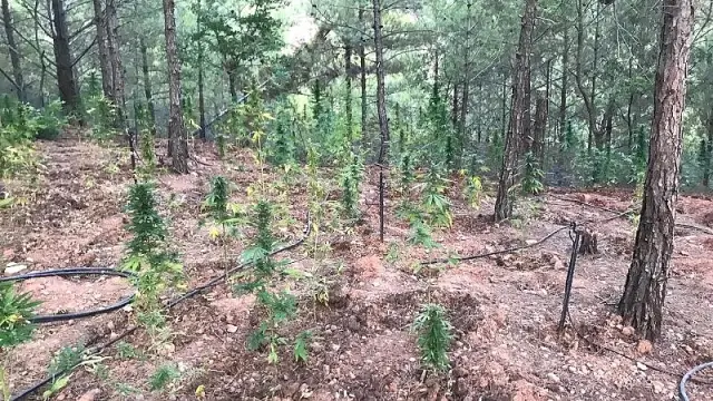 Antalya iklim krizine karşı