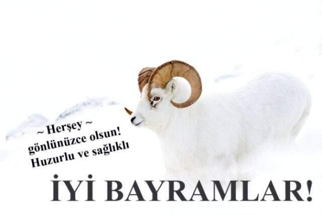 Bayram mesajları 2019! En güzel Kurban Bayramı mesajları!