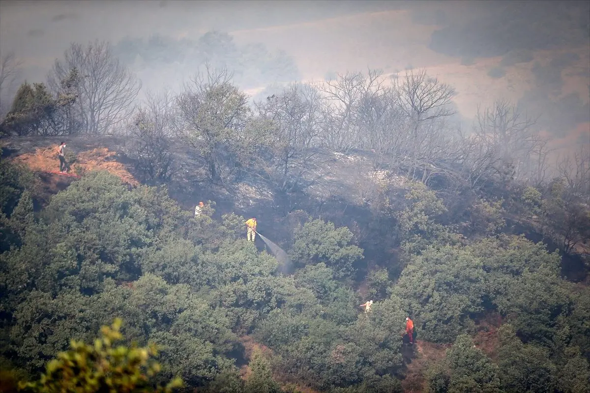 Bursa'da orman yangını